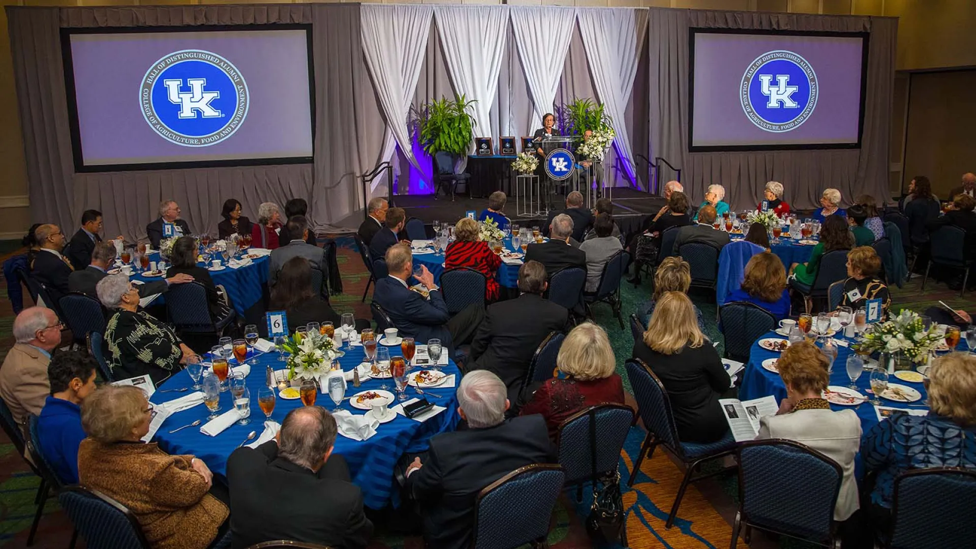 Attendees gather at the Hall of Distinguished Alumni ceremony