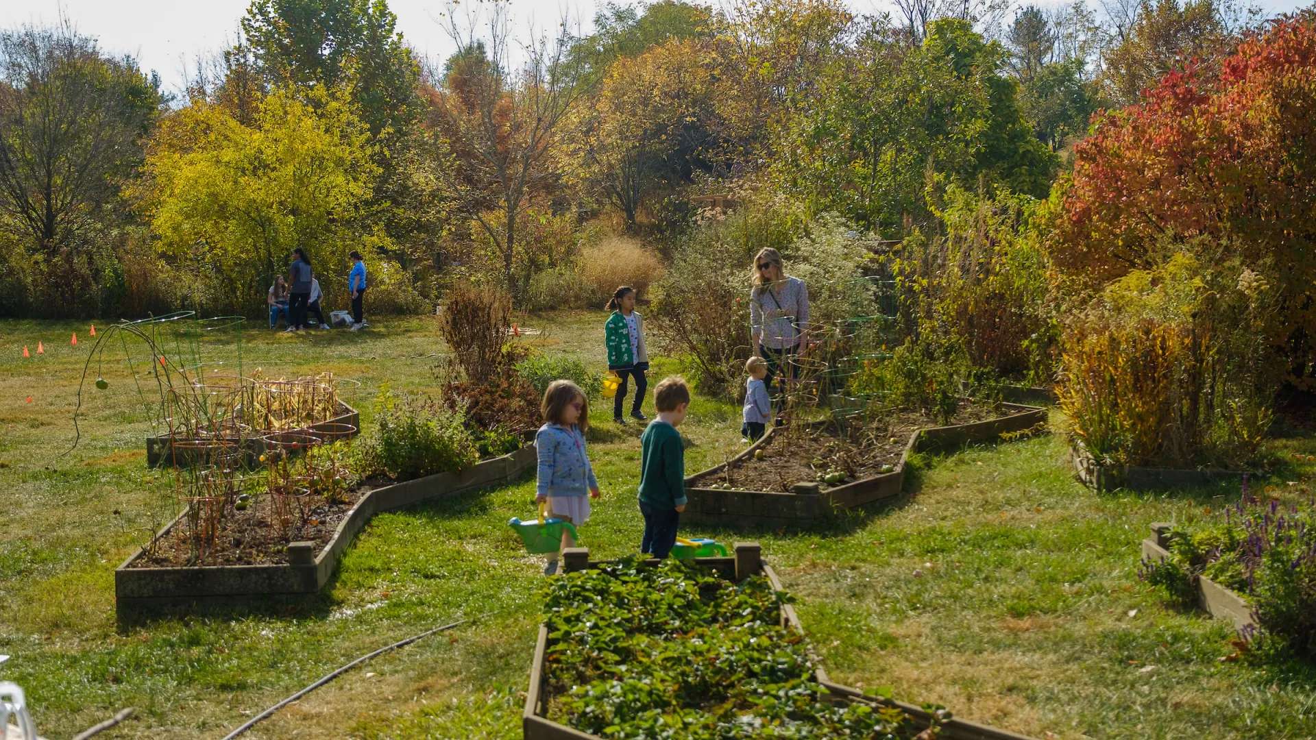 Gardening Series: Gardening with Trees